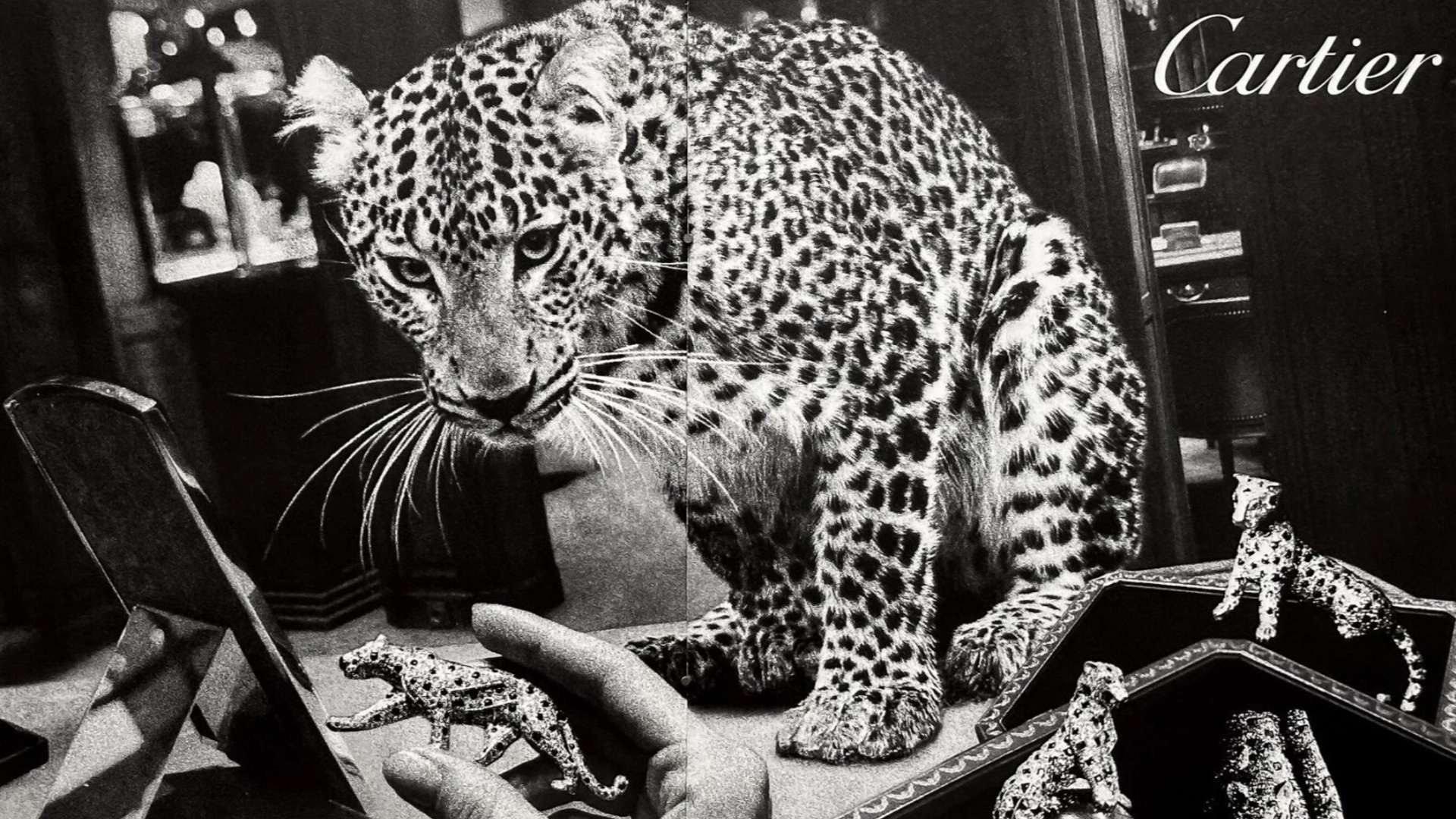 The Biggest Cartier Exhibition Australia Has Ever Seen Hits The NGV Next Year