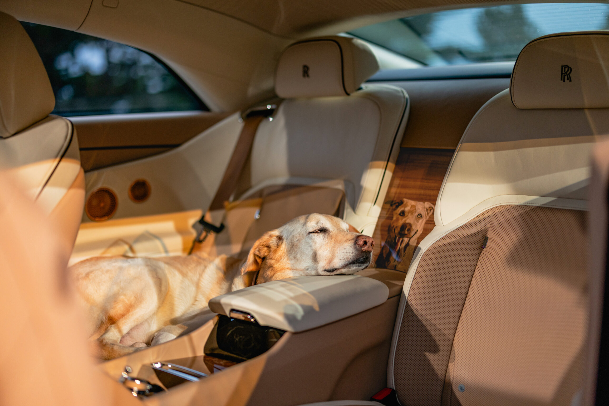 The One-Of-One Rolls-Royce Spectre Inspired By Its Owner’s Beloved Dog
