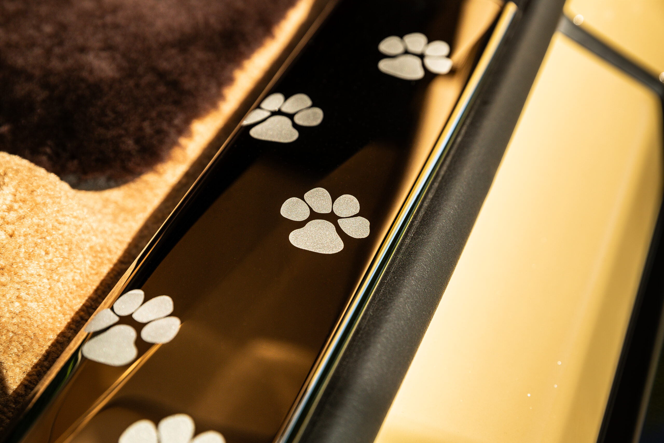 Rolls-Royce Spectre Bailey