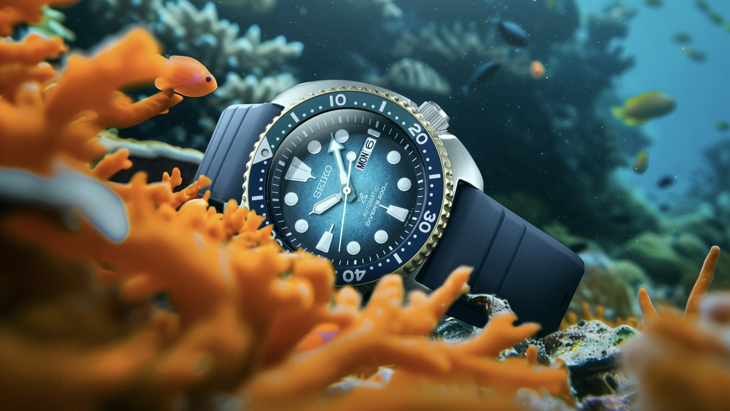 Seiko’s Newest Dive Watch Was Inspired By An Aussie Beach Paradise (And An Injured Turtle)