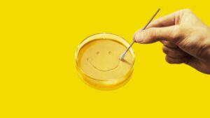 Screen Time Pluribus