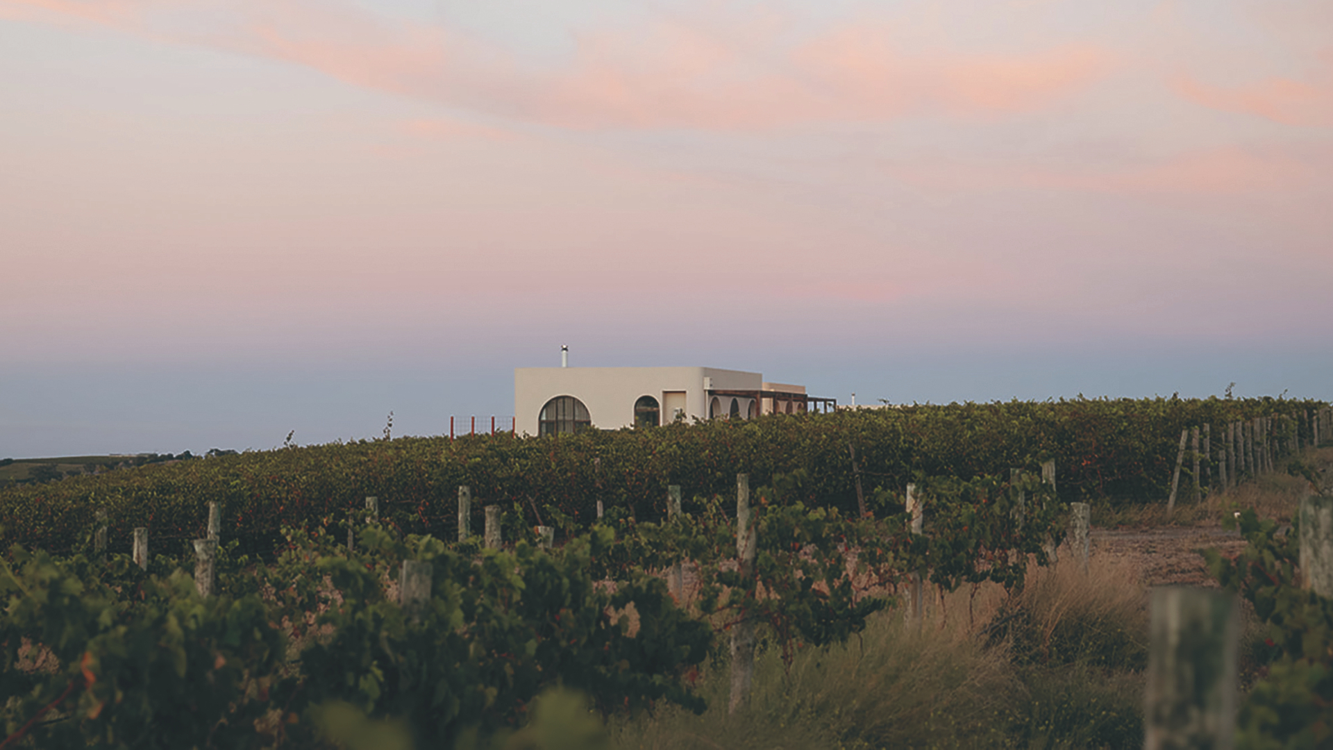 The Ultimate Weekend Guide To Adelaide