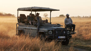 Good Finds: An Off-Roader For Lion Spotting, An Axe For Pizza, & Plenty More