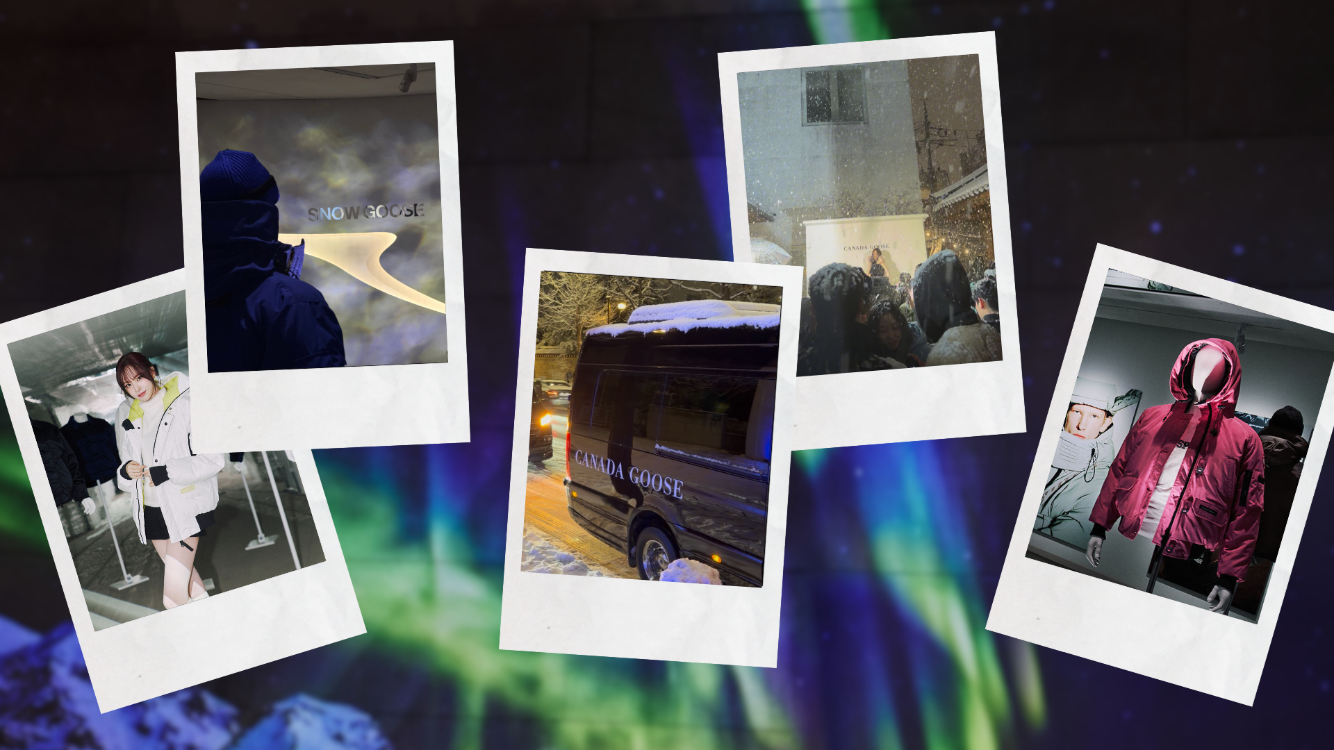 Winter Came To Seoul, And Canada Goose With It